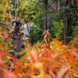 Meet your Posher, Will